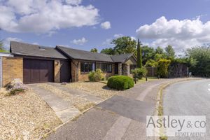 front- click for photo gallery